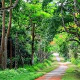 Parc national de Cat Tien 3 jours: Secrets de la nature vietnamienne