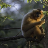 Parc national de Cat Tien 3 jours: Secrets de la nature vietnamienne