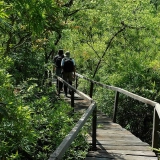 Parc national de Cat Tien 3 jours: Secrets de la nature vietnamienne