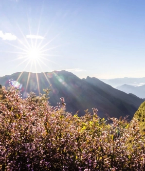 Randonnée à Ta Chi Nhu 3 jours : conquête du sommet 2979 mètres de haut