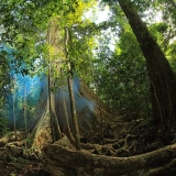 2 jours 1 nuit au parc national de Cat Tien : Immersion Nature du Vietnam