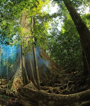 2 jours 1 nuit au parc national de Cat Tien : Immersion Nature du Vietnam