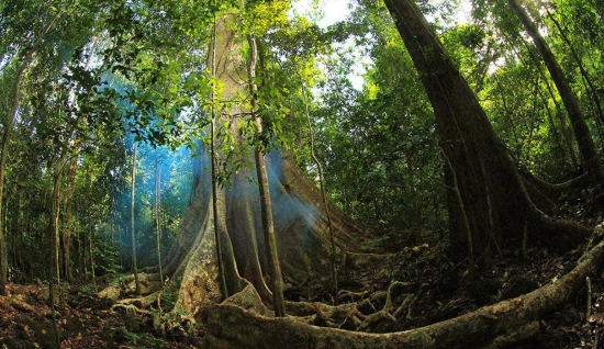 2 jours 1 nuit au parc national de Cat Tien : Immersion Nature du Vietnam