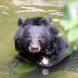 2 jours 1 nuit au parc national de Cat Tien : Immersion Nature du Vietnam