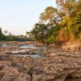 2 jours 1 nuit au parc national de Cat Tien : Immersion Nature du Vietnam