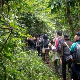 2 jours 1 nuit au parc national de Cat Tien : Immersion Nature du Vietnam