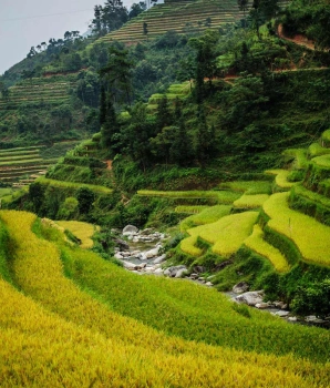 Hoang Su Phi 4 jours 3 nuits: Découverte de la beauté immaculée