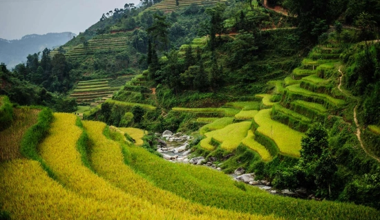 Hoang Su Phi 4 jours 3 nuits: Découverte de la beauté immaculée