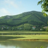 Parc national Ben En 2 jours : Expérience d’écotourisme à Thanh Hoa