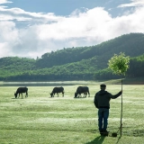 Parc national Ben En 2 jours : Expérience d’écotourisme à Thanh Hoa