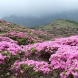 Voyage à pied Ha Giang 4 jours : Conquérir de la montagne Tay Con Linh