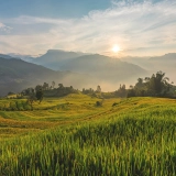 Trekking à Y Ty 3 jours 2 nuits : Évasion authentique à Lao Cai