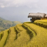 Trekking à Hoang Su Phi 3 jours : Immersion dans les montagnes