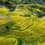 Trekking à Hoang Su Phi 3 jours : Immersion dans les montagnes