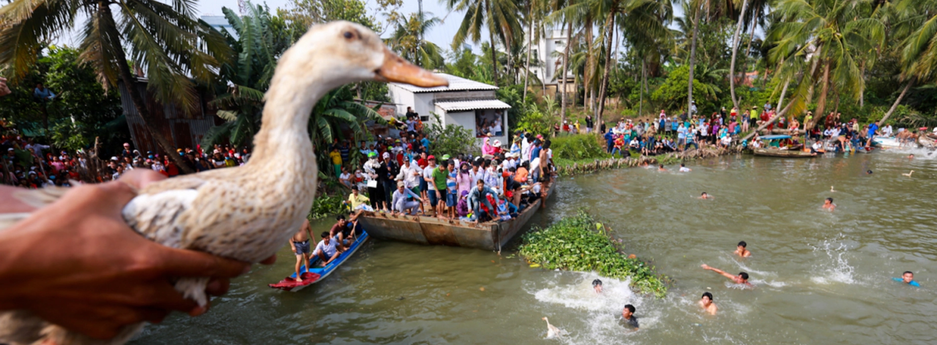 L'aventure d'une touriste auprès des canards à Quang Binh pour 4 $ : Est-ce cher ?