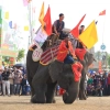 Festival de courses d'éléphants à Dak Lak : Une expérience unique au cœur du Vietnam central